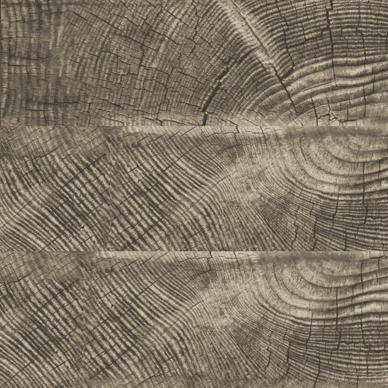 Madera Salvaje