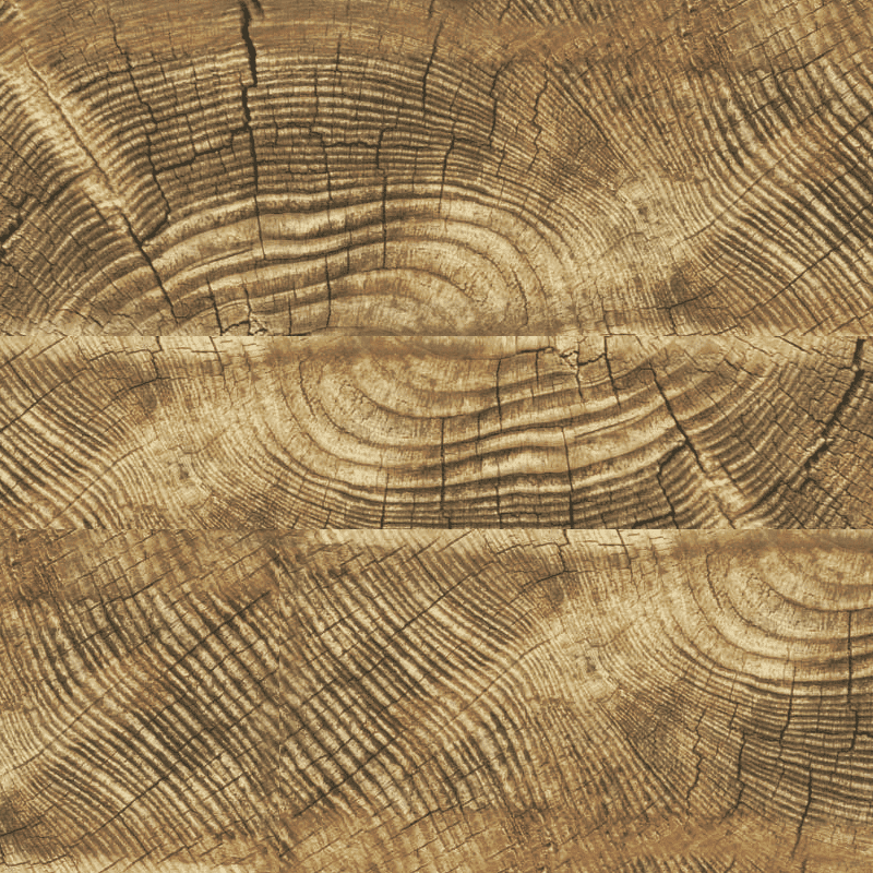 Madera Salvaje