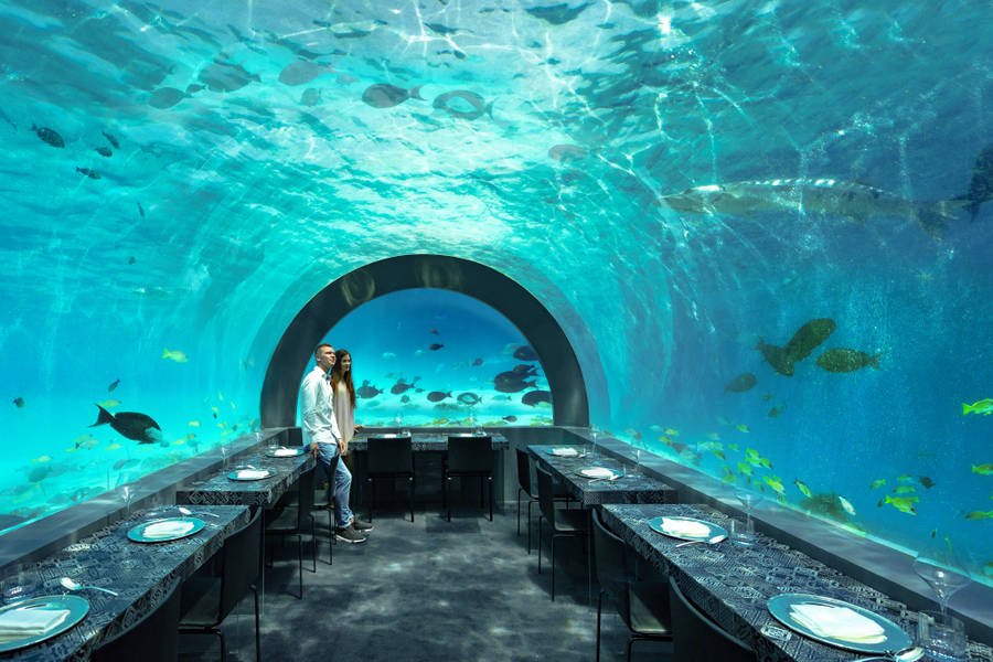 Proyecto Muebles de Diseño Italiano Restaurant H2O - Resort Cocoon en Las Maldivas